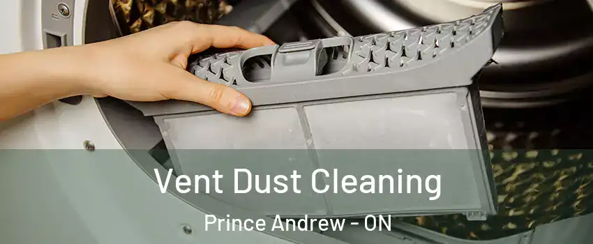  Vent Dust Cleaning Prince Andrew - ON