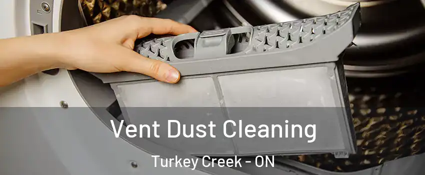  Vent Dust Cleaning Turkey Creek - ON