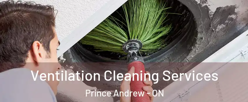  Ventilation Cleaning Services Prince Andrew - ON