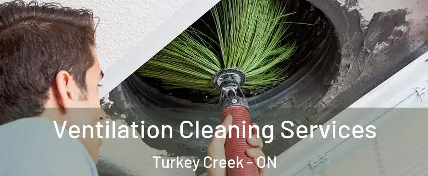  Ventilation Cleaning Services Turkey Creek - ON