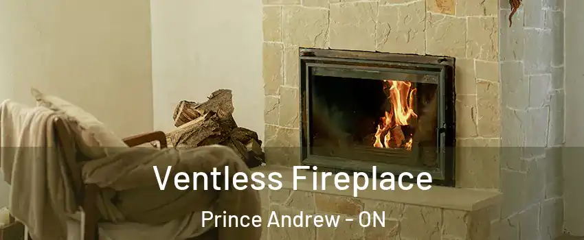  Ventless Fireplace Prince Andrew - ON