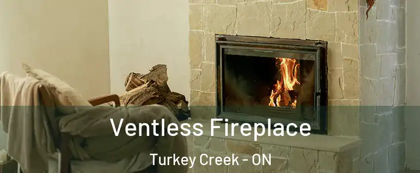  Ventless Fireplace Turkey Creek - ON