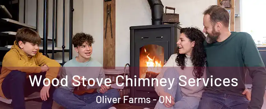  Wood Stove Chimney Services Oliver Farms - ON