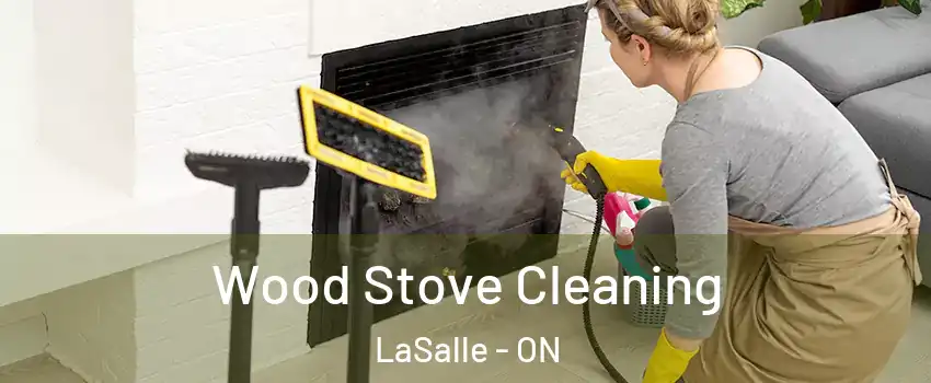  Wood Stove Cleaning LaSalle - ON