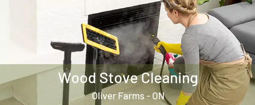  Wood Stove Cleaning Oliver Farms - ON