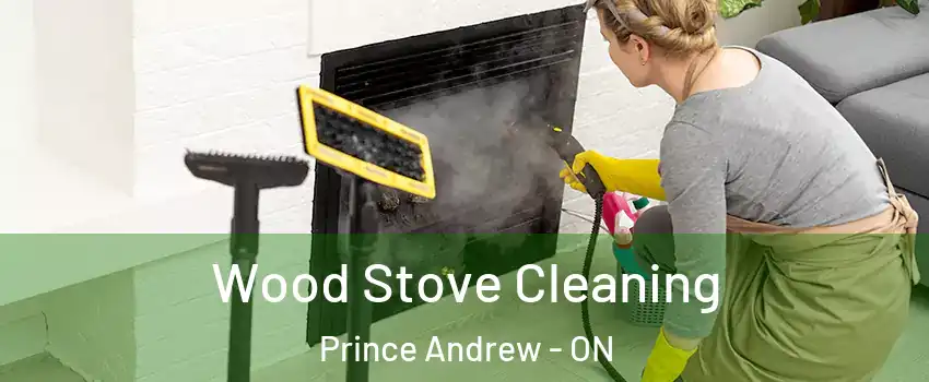  Wood Stove Cleaning Prince Andrew - ON