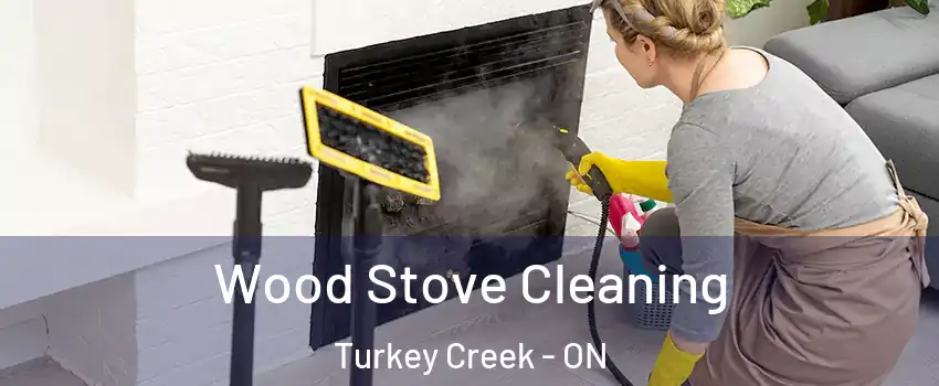  Wood Stove Cleaning Turkey Creek - ON